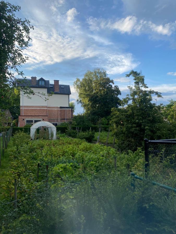 Nummer 151 Villastudios Hasselt Eksteriør bilde