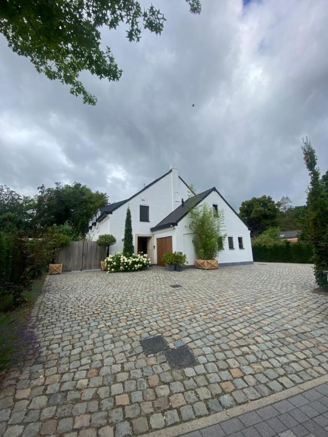 Nummer 151 Villastudios Hasselt Eksteriør bilde