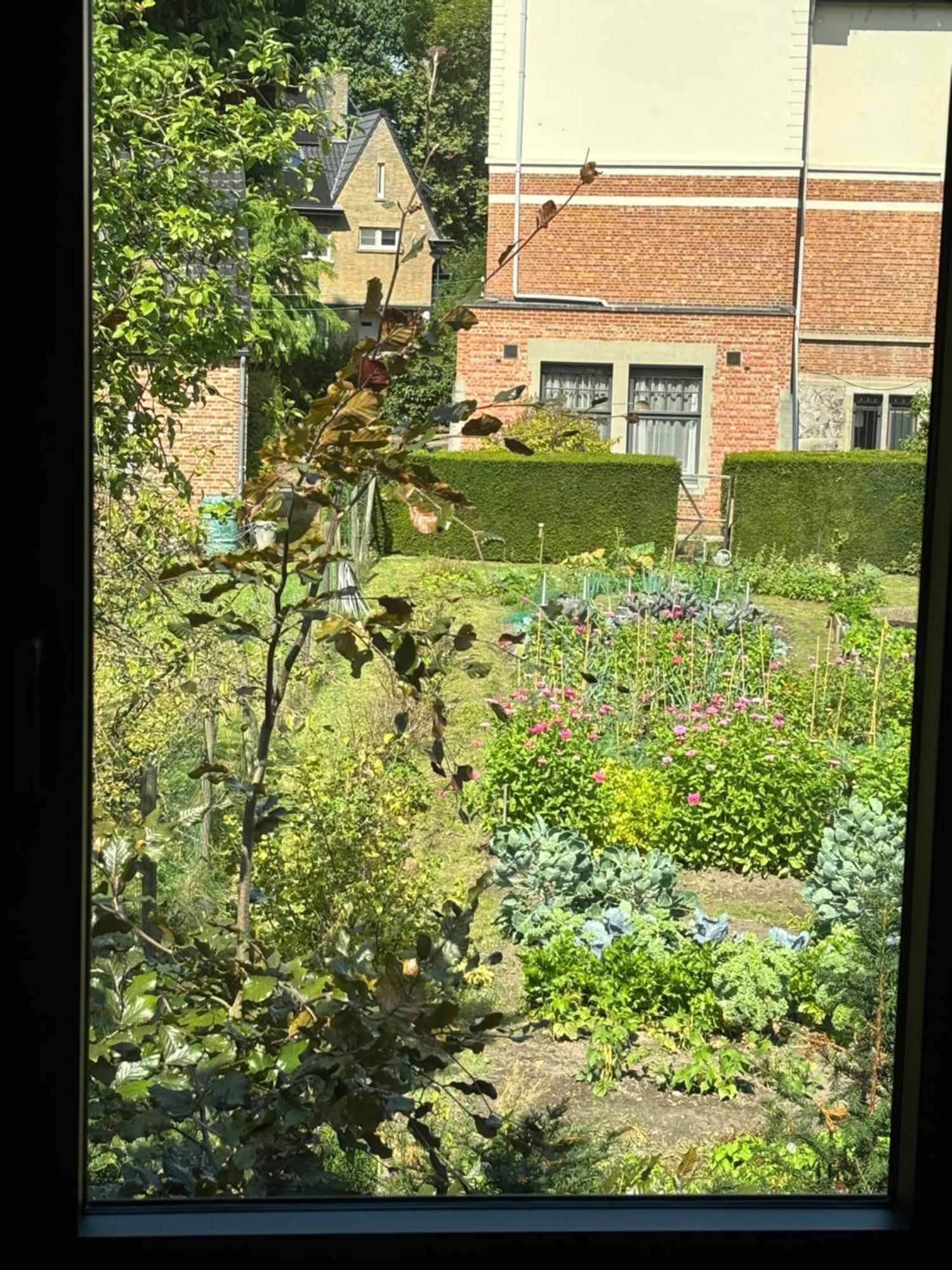 Nummer 151 Villastudios Hasselt Eksteriør bilde